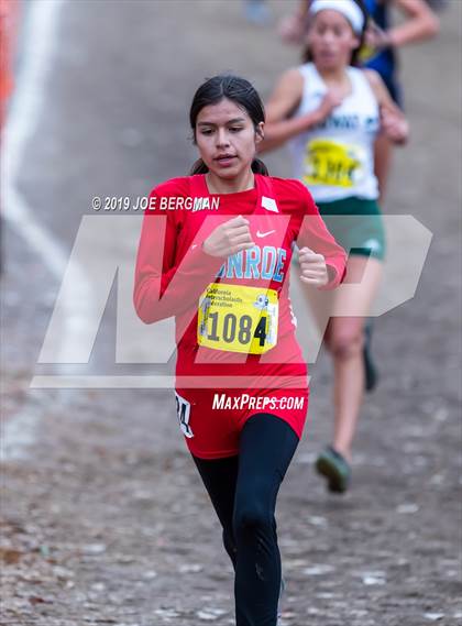 Thumbnail 1 in CIF State Cross Country Championships (Girls D2 Race) photogallery.