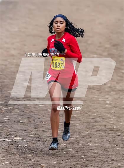 Thumbnail 1 in CIF State Cross Country Championships (Girls D2 Race) photogallery.