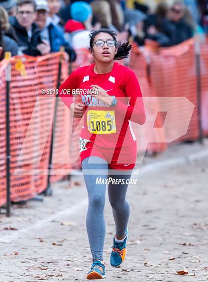 Thumbnail 2 in CIF State Cross Country Championships (Girls D2 Race) photogallery.