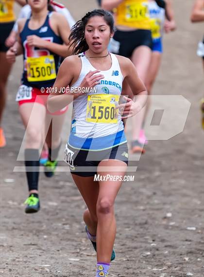 Thumbnail 2 in CIF State Cross Country Championships (Girls D2 Race) photogallery.
