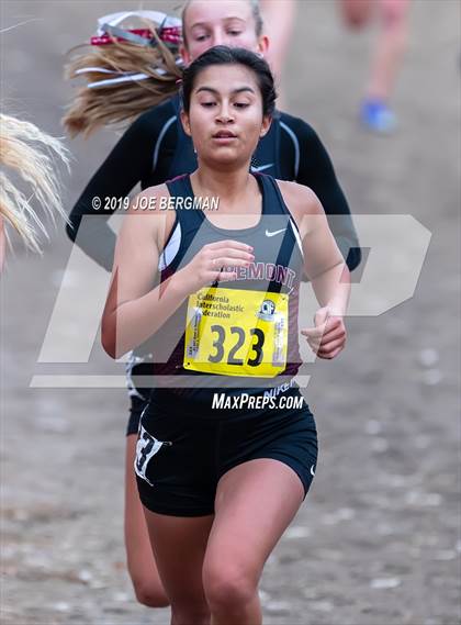 Thumbnail 2 in CIF State Cross Country Championships (Girls D2 Race) photogallery.