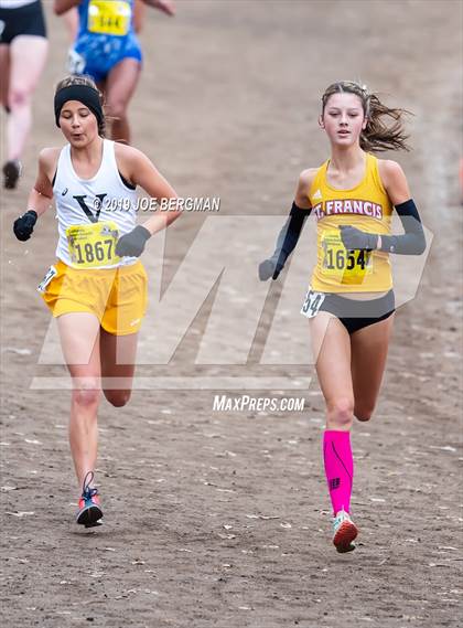 Thumbnail 2 in CIF State Cross Country Championships (Girls D2 Race) photogallery.
