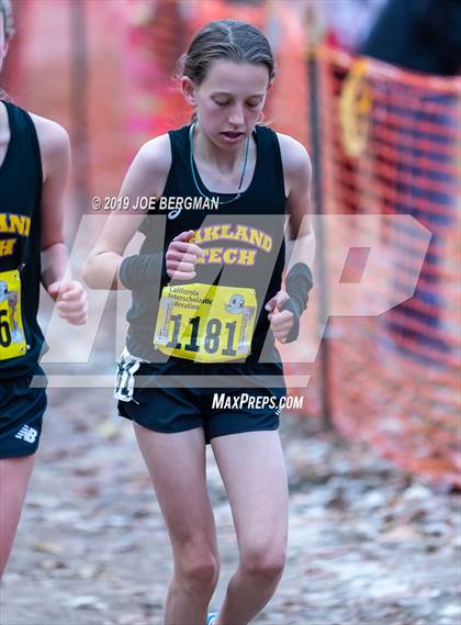 Thumbnail 1 in CIF State Cross Country Championships (Girls D2 Race) photogallery.