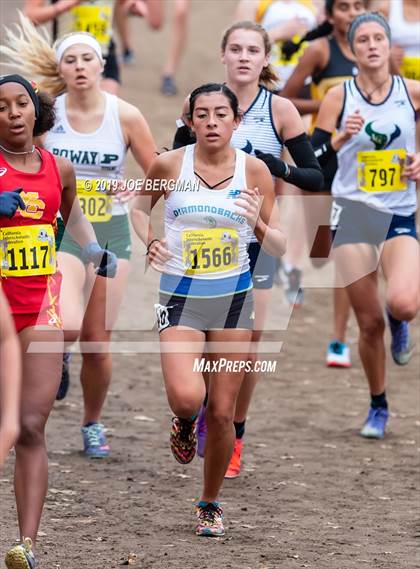 Thumbnail 1 in CIF State Cross Country Championships (Girls D2 Race) photogallery.