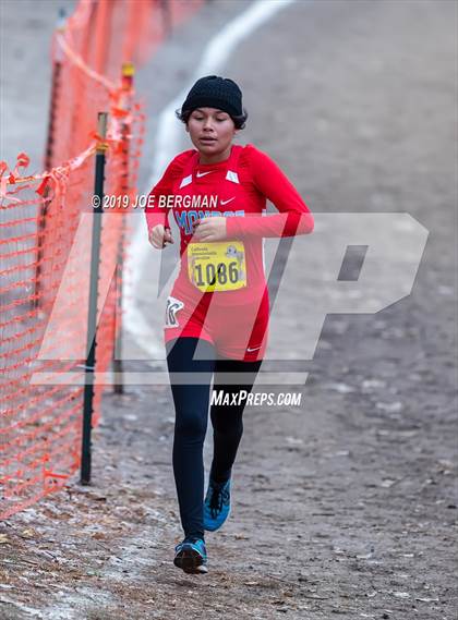Thumbnail 3 in CIF State Cross Country Championships (Girls D2 Race) photogallery.