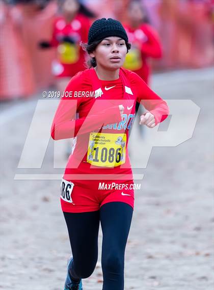 Thumbnail 3 in CIF State Cross Country Championships (Girls D2 Race) photogallery.