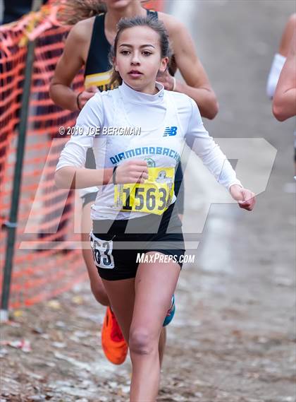 Thumbnail 3 in CIF State Cross Country Championships (Girls D2 Race) photogallery.