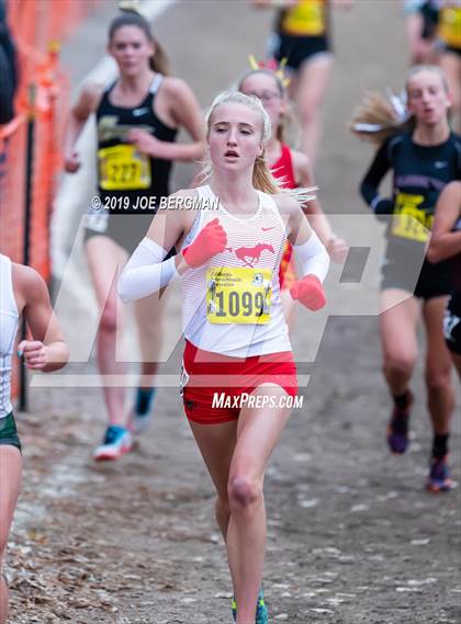Thumbnail 1 in CIF State Cross Country Championships (Girls D2 Race) photogallery.
