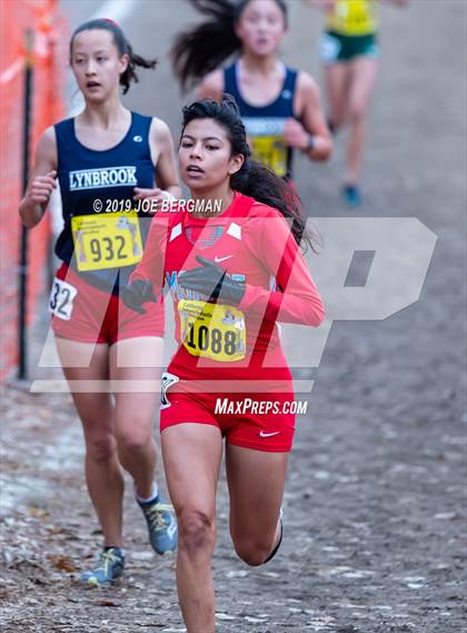 Thumbnail 1 in CIF State Cross Country Championships (Girls D2 Race) photogallery.