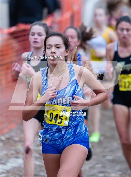 Thumbnail 3 in CIF State Cross Country Championships (Girls D2 Race) photogallery.
