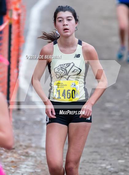 Thumbnail 1 in CIF State Cross Country Championships (Girls D2 Race) photogallery.