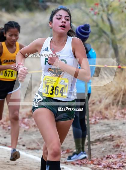 Thumbnail 2 in CIF State Cross Country Championships (Girls D2 Race) photogallery.