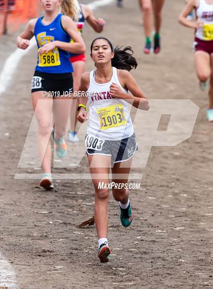 Thumbnail 1 in CIF State Cross Country Championships (Girls D2 Race) photogallery.