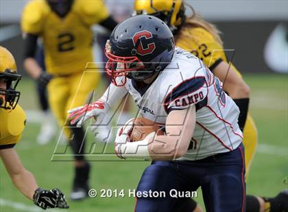 Thumbnail 3 in Campolindo vs. El Capitan (CIF State D3 Final) photogallery.