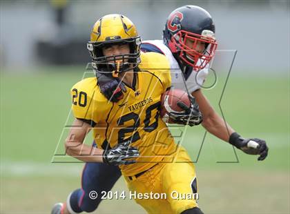 Thumbnail 2 in Campolindo vs. El Capitan (CIF State D3 Final) photogallery.
