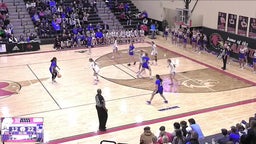 Nolensville girls basketball highlights Page High School