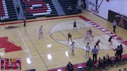 Hamilton girls basketball highlights Allendale High School