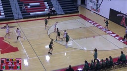 Jenison girls basketball highlights Allendale High School