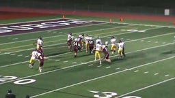 Fonda-Fultonville football highlights vs. Lansingburgh High