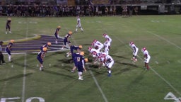 Cameron Sanford's highlights Purvis