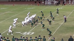 Daniel Castillo's highlights Palo Verde