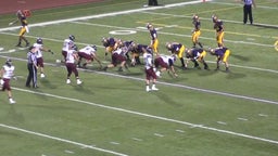 Adam Felder's highlights vs. Hobart High School