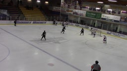 Sartell-St. Stephen girls ice hockey highlights vs. Cloquet High School