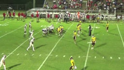 Bryant football highlights Robertsdale High School