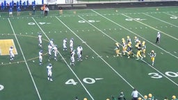 Harrison football highlights vs. Royal Oak High