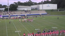 St. Michael Catholic football highlights Jackson High School
