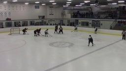 Sartell-St. Stephen girls ice hockey highlights vs. St. Cloud Cathedral