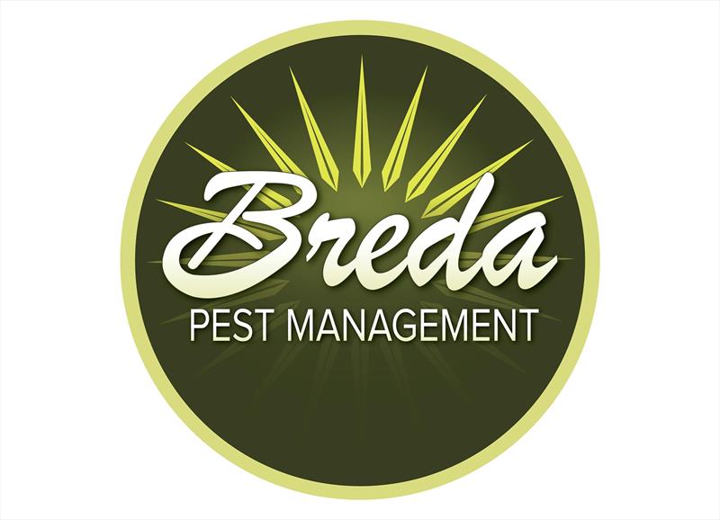 2025 Georgia Boys State Basketball Tournament: GHSA  AA