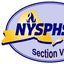 2017 Section VI Boys Baseball Sectionals Class C