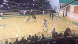 Houston County basketball highlights vs. Dublin High School
