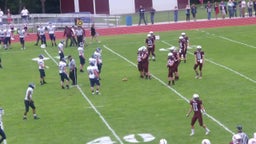 Delaware Academy football highlights vs. Bainbridge-Guilford