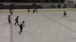 Sartell-St. Stephen girls ice hockey highlights vs. Fargo North