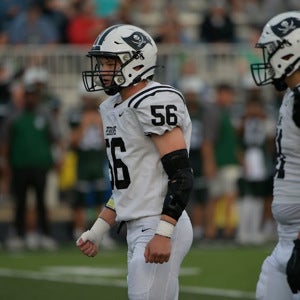 Reagan Kaufman mugshot