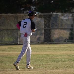 Anyelo Ayani mugshot