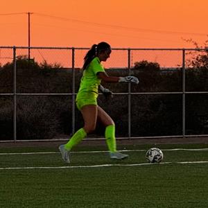 Elliana Principe mugshot