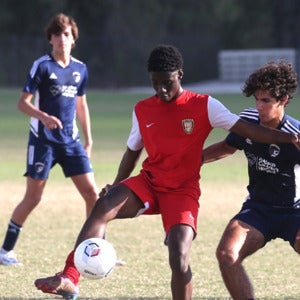 Wood-Sley  Alexandre mugshot