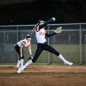 Danica DeSantis mugshot