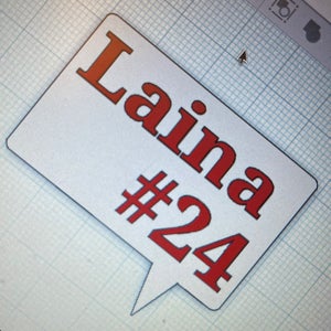 Laina Hunt mugshot