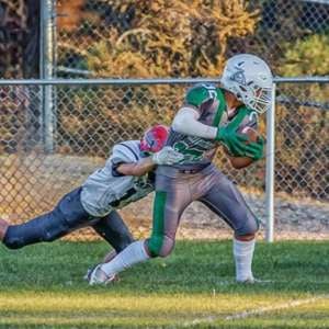 Dominic Stegall mugshot