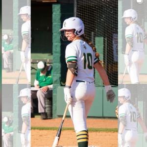 Tess Hedrick mugshot