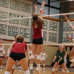 Meredith Gatz mugshot