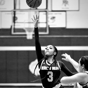 Aiyana Willis mugshot