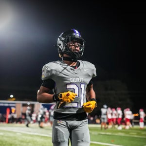 Daimir Hicks