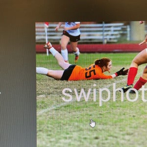 Analee Mills mugshot