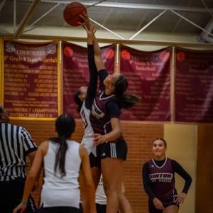 Tiana Salone mugshot