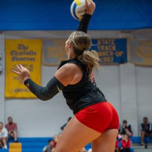 Payson Brantley mugshot